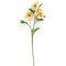 Scabiosa Spray Faux Floral Stem Green Branch Decor - Set of 3